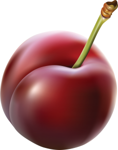 Plum PNG image-8660